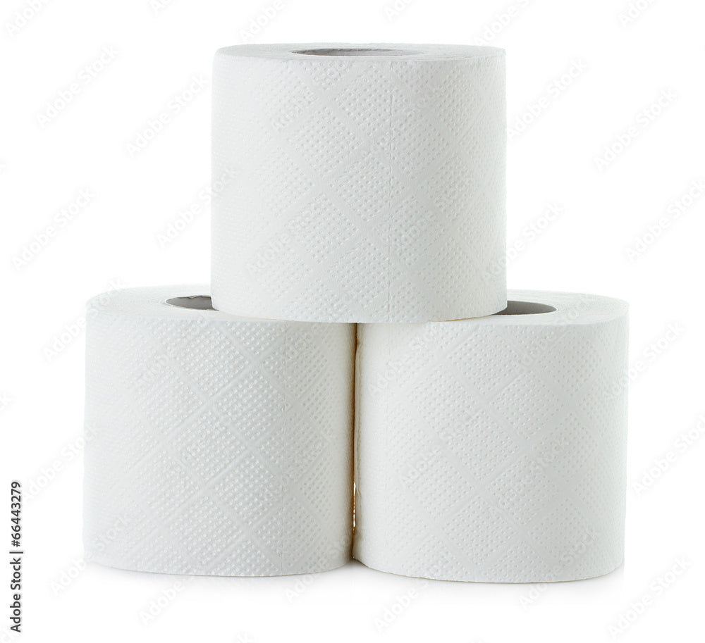 Easy Wipes 96's 2 Ply Toilet Paper